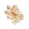 Alloy Rhinestone Lapel Pin Brooches JEWB-F047-03G-2