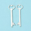 Tibetan Style Zinc Alloy Key Big Pendants LS-EA11911Y-1
