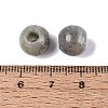 Natural Labradorite European Beads G-Q607-02P-3