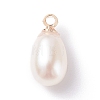 Natural Pearl Charms X-PALLOY-JF01281-02-1