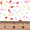 Handmade Polymer Clay Nail Art Decoration Accessories CLAY-T022-07E-3