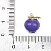 Fruit Alloy Enamel Charms ENAM-P264-02B-G-4
