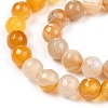 Natural Agate Beads Strands G-H1593-8mm-01-2