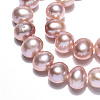 Natural Cultured Freshwater Pearl Beads Strands PEAR-N016-06C-02-4