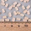 FGB Frosted Transparent Glass Seed Beads X-SEED-N013-05A-03-4