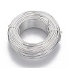 Round Aluminum Wire AW-F004-1mm-01-1