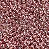 TOHO 6/0 Round Beads SEED-TR06-PF0552-3