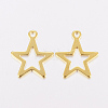 201 Stainless Steel Charms STAS-F162-13G-2