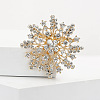 Alloy and Clear Glass Rhinestone Christmas Snowflake Brooch for Women PW-WG5C554-01-2