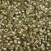MIYUKI Delica Beads SEED-MY11-DB1766-3