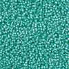 MIYUKI Round Rocailles Beads SEED-JP0009-RR0571-3