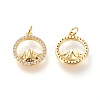Brass Micro Pave Clear Cubic Zirconia Charms X-ZIRC-L098-025G-2