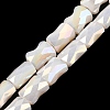 AB Color Plated Glass Beads Strands EGLA-P051-06B-B07-1