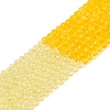 Transparent Glass Beads Strands GLAA-N074-01A-03-2