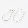 304 Stainless Steel Hoop Earrings STAS-T031-02-2