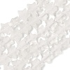 Natural Quartz Crystal Beads Strands G-F817-A16-01-3