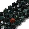 Natural Bloodstone/Heliotrope Beads Strands G-Z119-A16-03-3