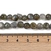 Natural Labradorite Beads Strands G-Q060-B02-5