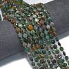 Natural Ocean Jasper Beads Strands G-K389-B30-01-2