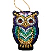 Owl DIY Diamond Painting Pendant Decoration Kits PW-WG4E765-01-3