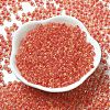 Transparent Glass Round Seed Beads SEED-B001-05A-24-2