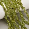 Natural Peridot Beads Strands GG-CBA3182-01-1