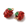 Brass Enamel Charms KK-S368-02G-01-2