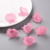 Transparent Acrylic Beads BSF796-C10-8