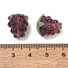 Handmade Lampwork Beads LAMP-WH0012-02C-3