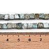 Natural Variscite Beads Strands G-T140-41B-5