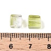 Baking Paint Transparent Glass Beads DGLA-N005-01A-06-4