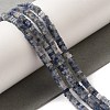 Natural Blue Spot Jasper Beads Strands G-N342-82-2