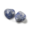 Natural Blue Spot Jasper Cabochons G-H309-01-05-2