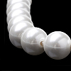 Shell Pearl Beads Strands BSHE-S301-10mm-04-3