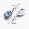 Abalone Shell/Paua Shell Dangle Earrings EJEW-F147-A07-2