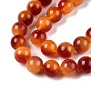 Dyed Natural White Jade Beads Strands G-T138-10mm-210-24-3