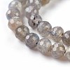 Natural Labradorite Beads Strands G-O176-04B-4