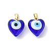 Handmade Lampwork Pendants PALLOY-JF05629-02-1