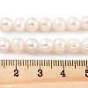 Natural Cultured Freshwater Pearl Beads Strands PEAR-C003-12D-5