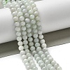 Natural Myanmar Jadeite Beads Strands G-L595-C01-01B-2