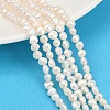 Natural Cultured Freshwater Pearl Beads Strands PEAR-P064-19D-05A-1