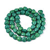 Synthetic Turquoise Beads Strands G-N352-23A-01-2