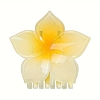 Plastic Claw Hair Clips PW-WG99DFF-03-1