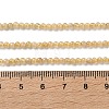 Natural Yellow Garnet Beads Strands G-Z129-C01-3mm-01-5