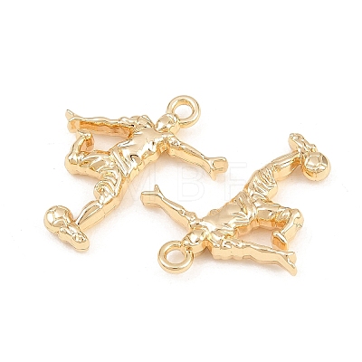 Alloy Pendants PALLOY-T096-07G-1