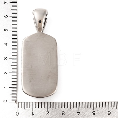 316 Surgical Stainless Steel Big Pendants STAS-Z073-56AS-02-1