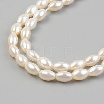 Electroplate Natural Freshwater Shell Beads Strands SHEL-T017-13A-01-1