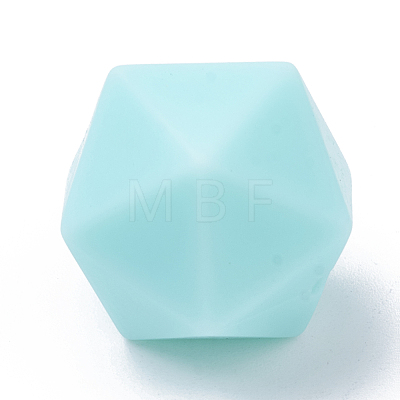 Food Grade Eco-Friendly Silicone Focal Beads SIL-T048-14mm-62-1