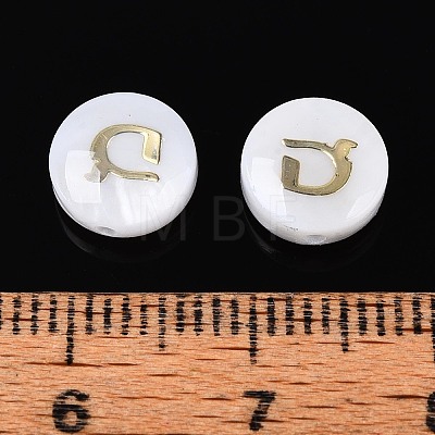 Natural Freshwater Shell Beads LS-BSHE-ZX007-03A-1