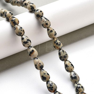 Natural Dalmatian Jasper Beads Strands G-B106-A29-01-1